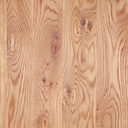 Table top Tree oakwood, 40mm