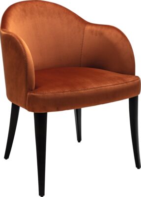 Armchair Parma AC