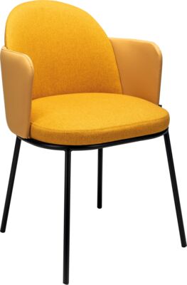 Armchair Zest AC