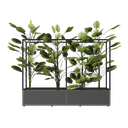 Nora planter box
