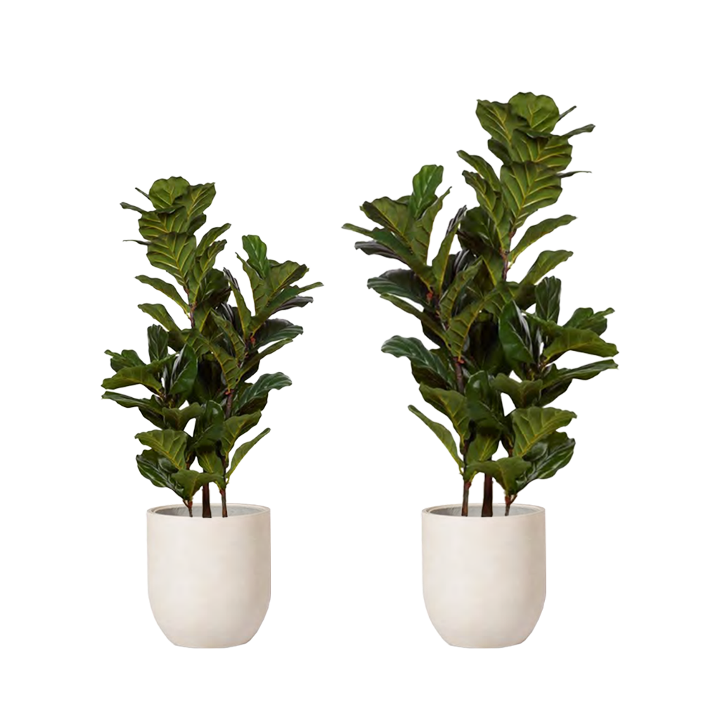 Lyrata - artificial plant incl. planter