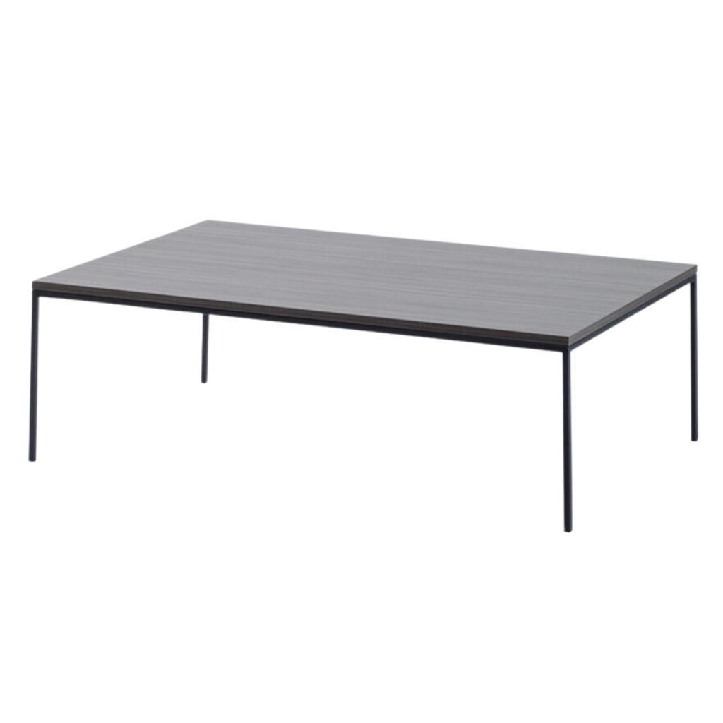 CHAVI COFFEE TABLE