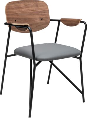 [CH-SA-15291] ARMCHAIR TUBE WOOD AC