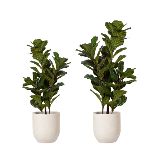 LYRATA - ARTIFICIAL PLANT INCL. PLANTER
